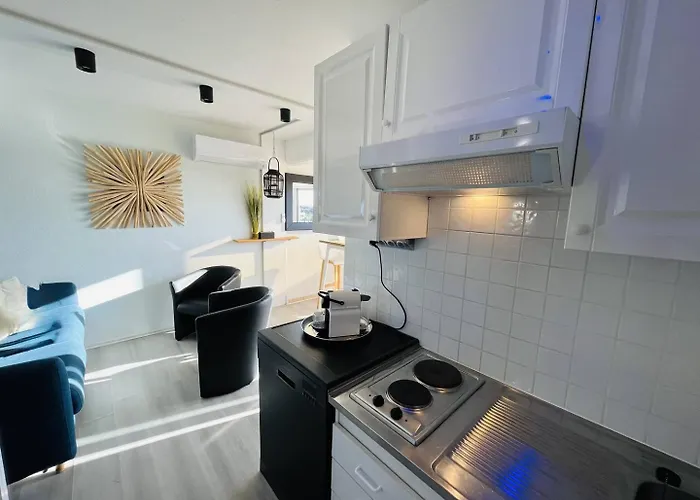 Apartamento 4 Couchages Cap D'agde Naturisme Cn040-383 *